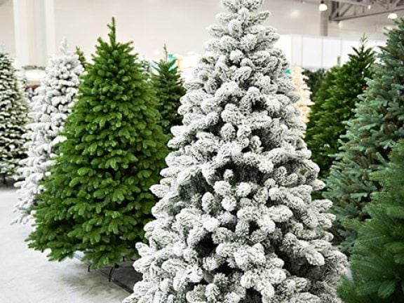 Kerstbomen