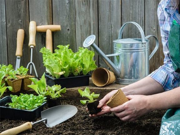 Outils de jardinage manuels