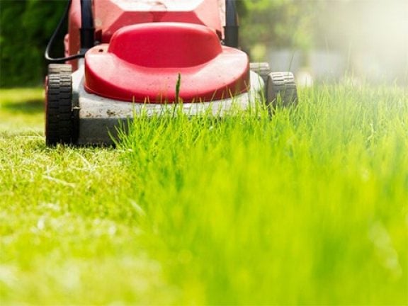 Outils de jardinage