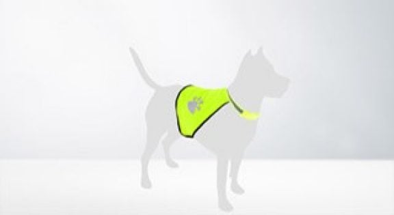 Vêtements pour animaux