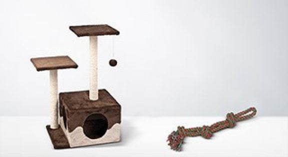 Jouets pour animaux