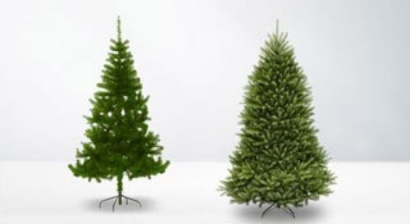 Sapins de Noël
