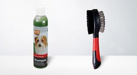 Wassen & kammen