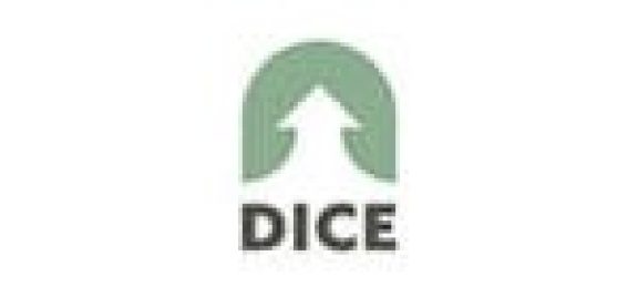 Dice