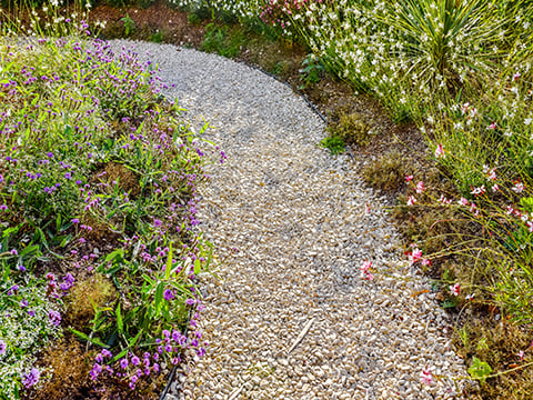 waterbesparende tuin