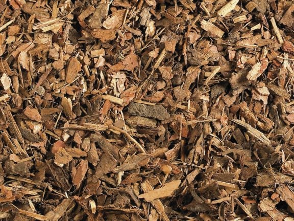 Écorces de pin Sylvestre