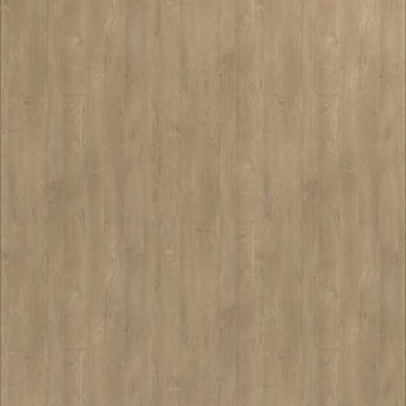 H878 BST Paruma Oak