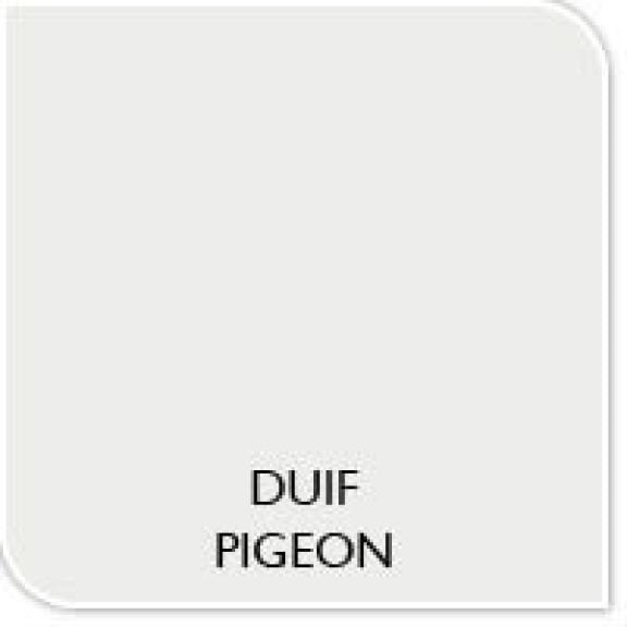 Couleur de la peinture pigneon