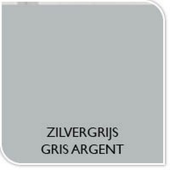 Couleur de la peinture gris argent
