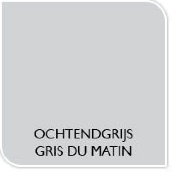Couleur de la peinture gris du matin