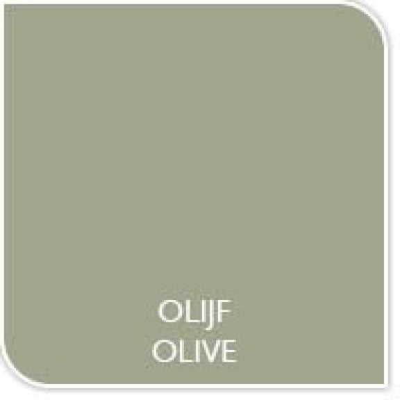 Couleur de la peinture olive