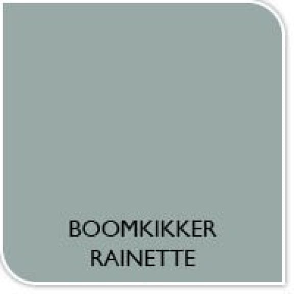 Couleur de la peinture rainette