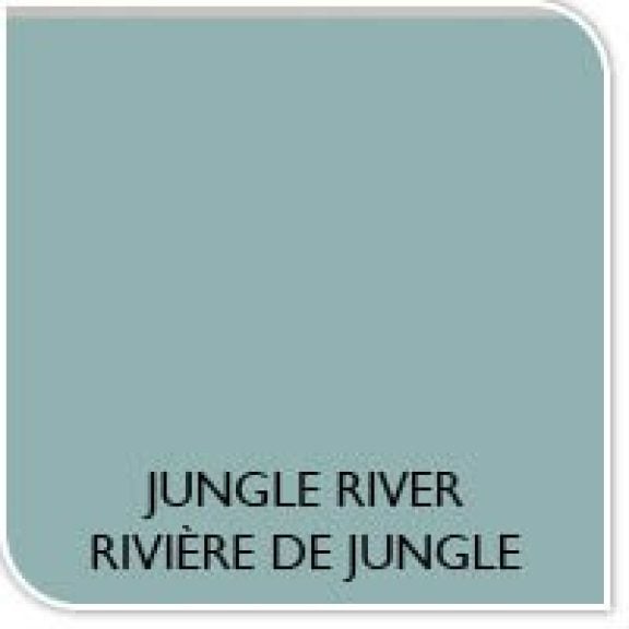 Couleur de la peinture rivière de jungle