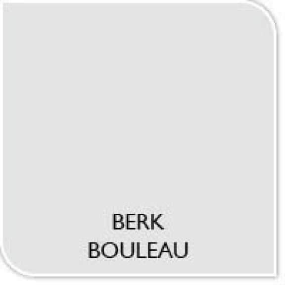 Couleur de la peinture bouleau