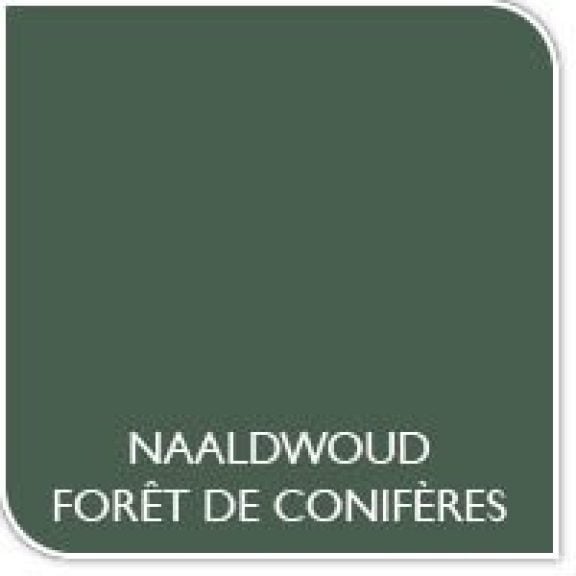 Couleur de la peinture forêt de conifères