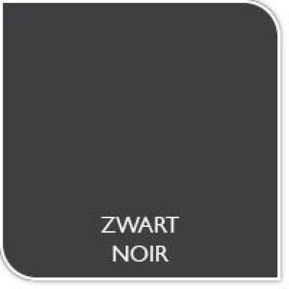 Couleur de la peinture noir