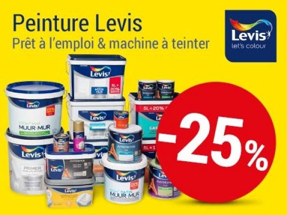 Mélangeur de peinture Levis