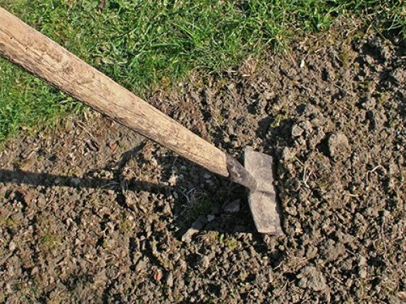 Bêcher le sol pour semer du gazon