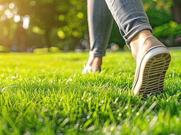 Ne marchez pas sur le gazon