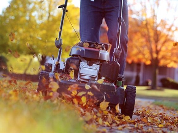 Rassembler les feuilles mortes avec une tondeuse à gazon