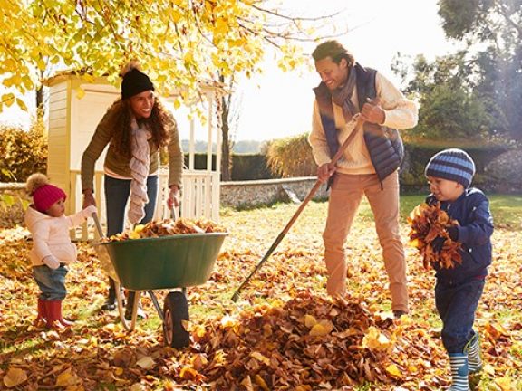 Éliminer les feuilles mortes du jardin