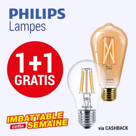 Ampoules LED