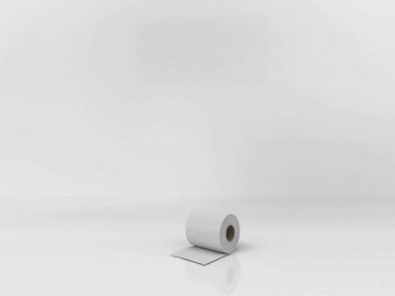 Toilette japonaise Cesari empreinte écologique