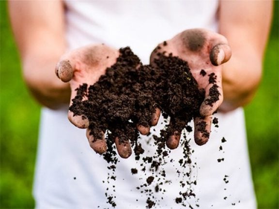 Entretien du jardin & plantations