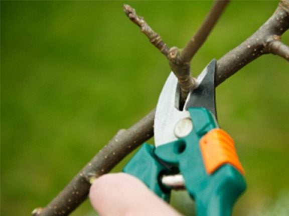 Outillage de jardin à main