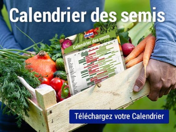 Calendrier des semis