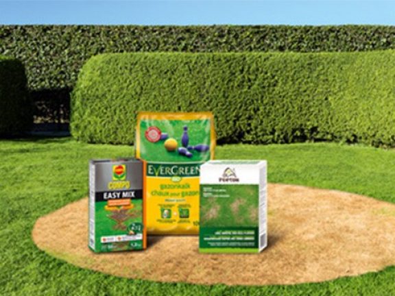 Produits pour réparer votre pelouse