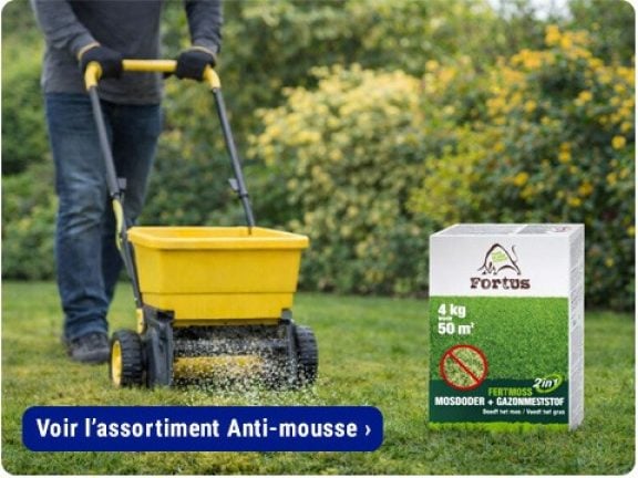 produits anti mousse
