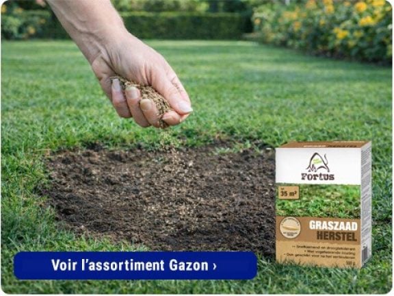gazon de réparation