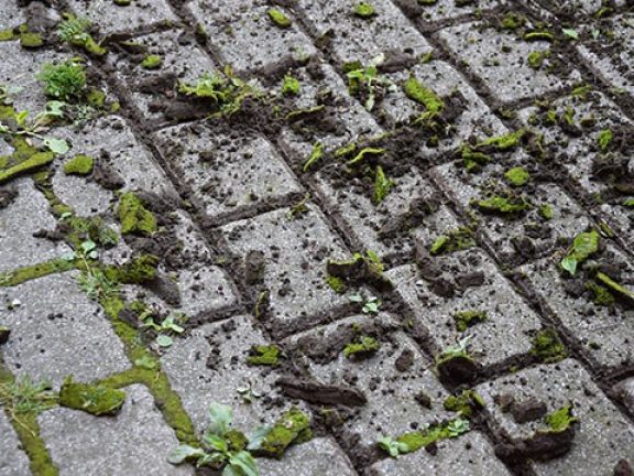 Onkruid weg vegen met houten onkruidborstel