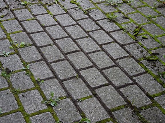 Propere voegen tussen tegels door gebruik van houten onkruidborstel