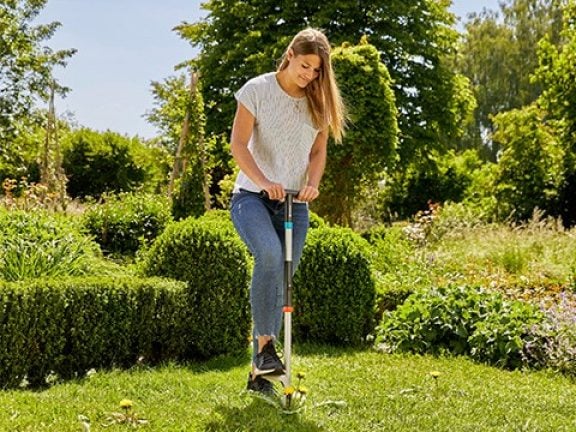 Planter le désherbeur sur la mauvaise herbe