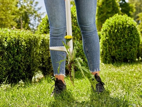 Prendre la mauvaise herbe avec le désherbeur
