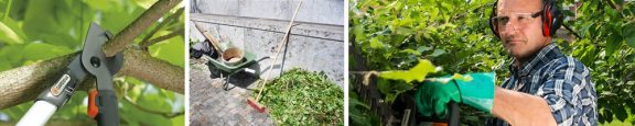 Tailler au jardin