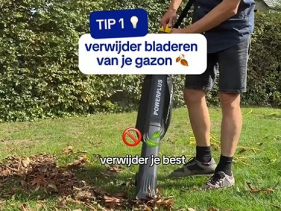 bladeren verwijderen