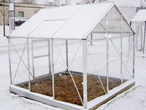 Planten kweken in serre