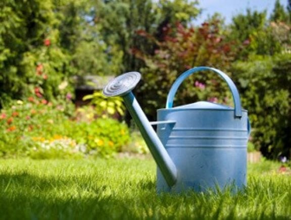 Entretien du jardin mars