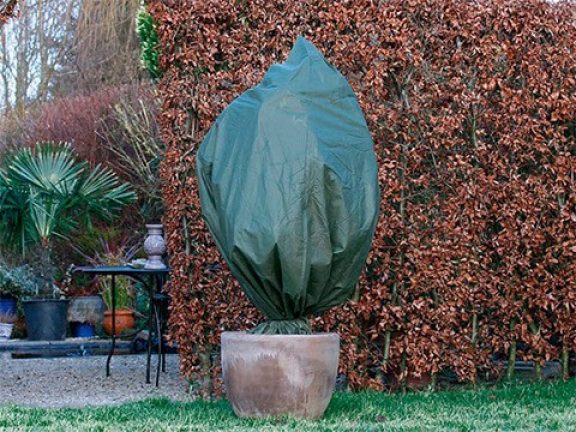 Vorstgevoelige planten beschermen met een beschermhoes