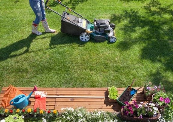 Entretien du jardin septembre