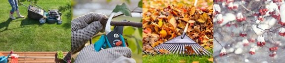 Entretien du jardin à l'automne