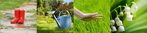 Entretien du jardin au printemps