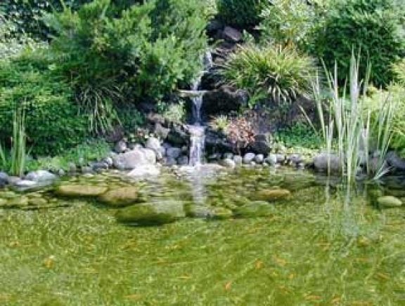 Installer une fontaine dans un étang