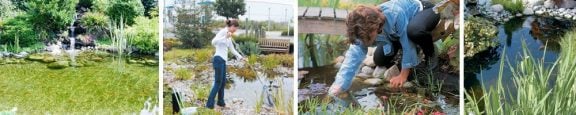 Entretenir un bassin