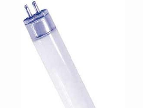 L'ampoule TL