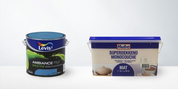 Peinture murale et de plafond