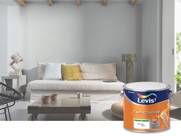 Levis EasyClean Peinture murale